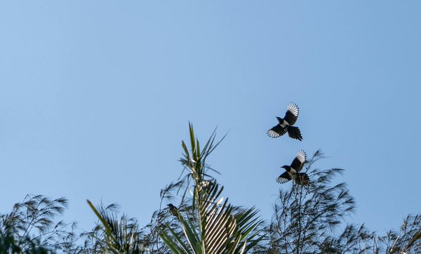 Descubre el Camino hacia una Vida Plena y Saludable