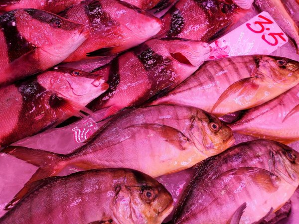 La guÃ­a definitiva para profesionales del bienestar